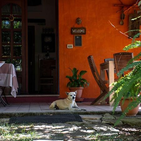 B&B La Noria San Sperate Экстерьер фото
