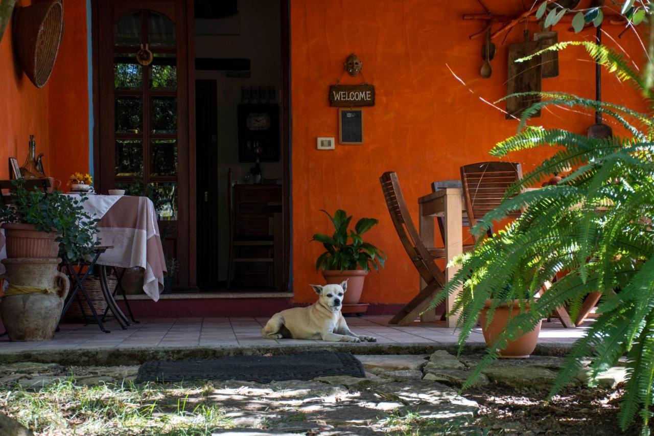 B&B La Noria San Sperate Экстерьер фото